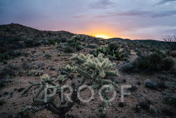AW_AZ25-8179