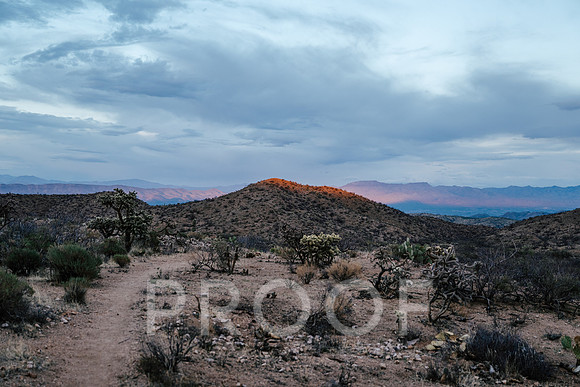 AW_AZ25-8155