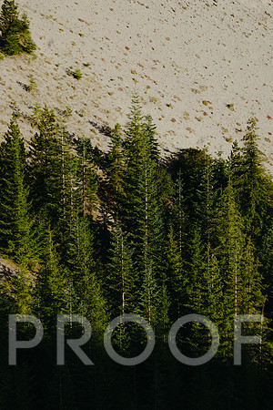 SA_BF25-2331