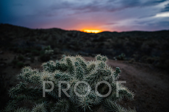 AW_AZ25-8212