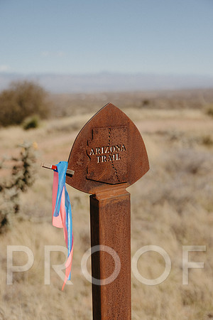 SA_AZ25-1673
