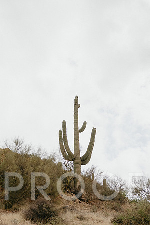 SA_AZ25-0002