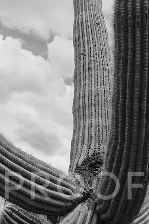 SA_AZ25-0047