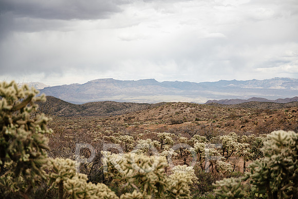 AW_AZ25-7311