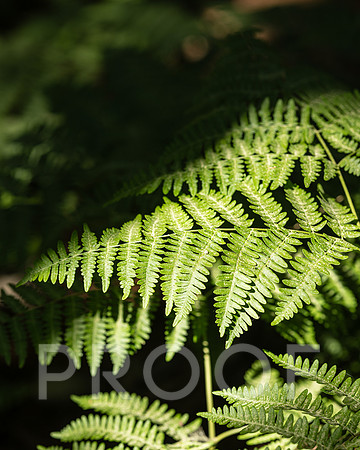 AW_T24_3083