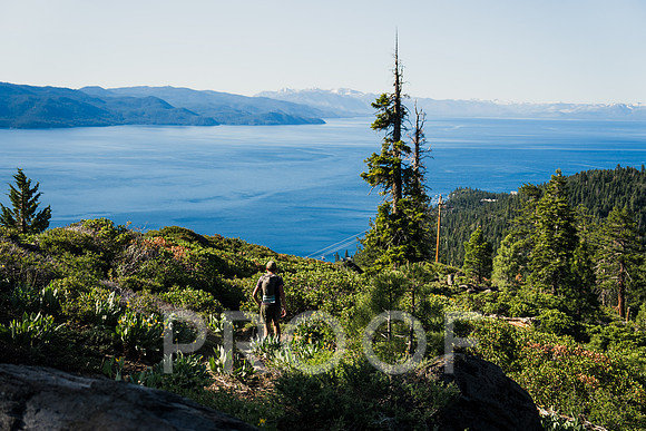 JP_T25-1818