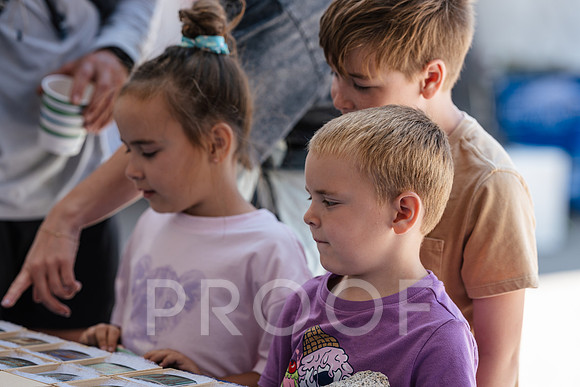 AW_T25-4171