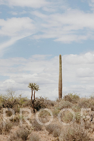 SA_AZ25-0026