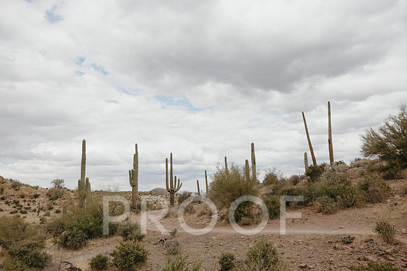 SA_AZ25-0004