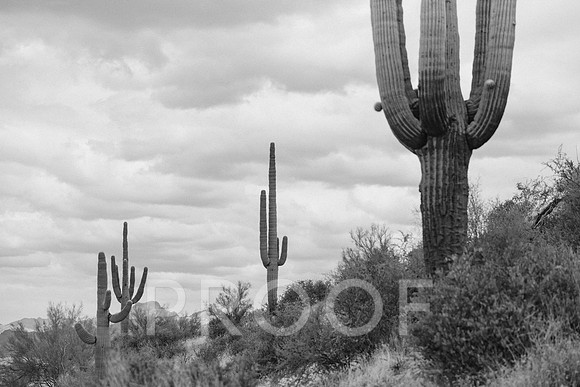 SA_AZ25-0003