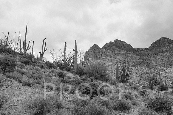SA_AZ25-0006