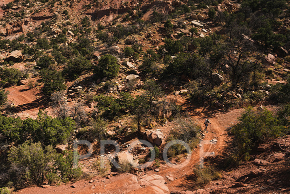 JP_M24-0108