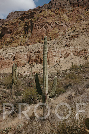 SA_AZ25-0119
