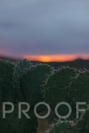 SA_AZ25-1179