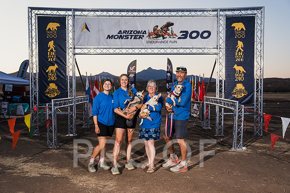 JP_AZ300-13