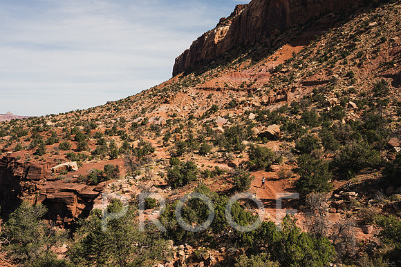 JP_M24-0098