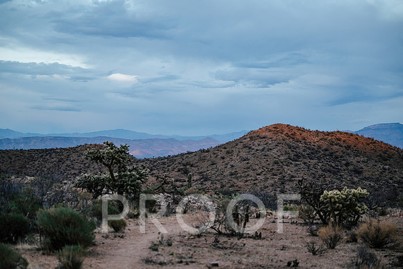 AW_AZ25-8135
