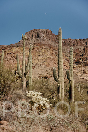 SA_AZ25-0281