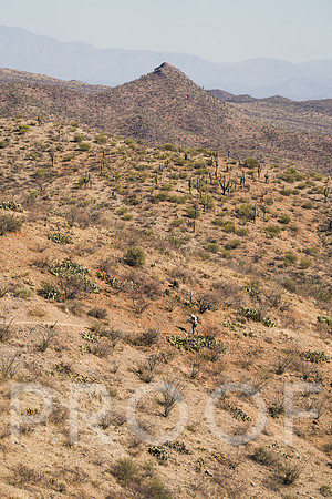 JP_AZ25-0960