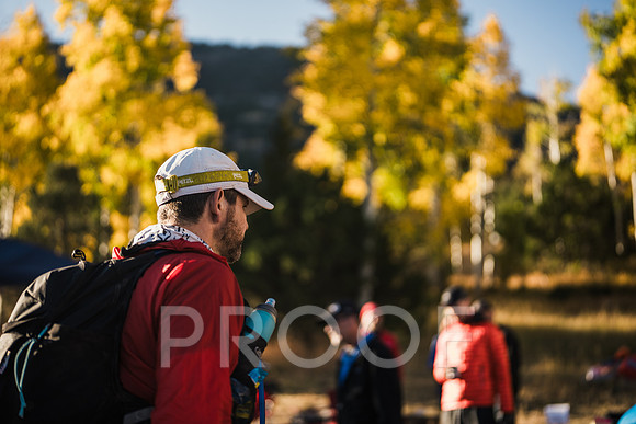 JP_M24-0181
