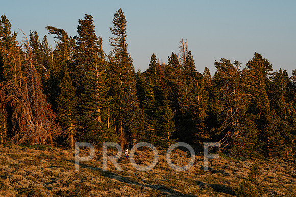 AW_T25-4921