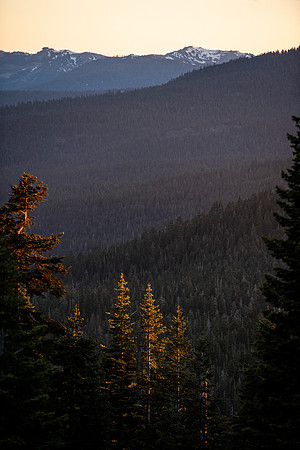 AW_T22_5038