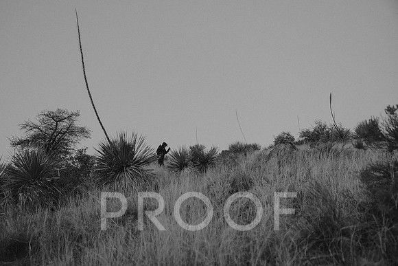 SA_AZ25-1190