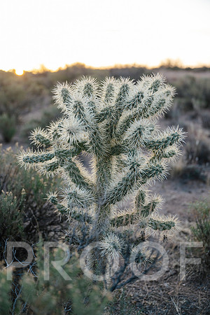 AW_AZ25-6614