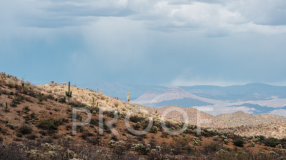AW_AZ25-3679
