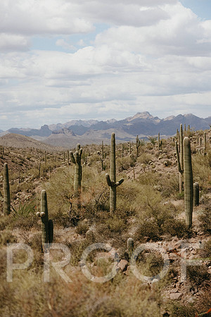 SA_AZ25-0424