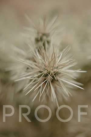 SA_AZ25-0028