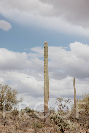 SA_AZ25-0025