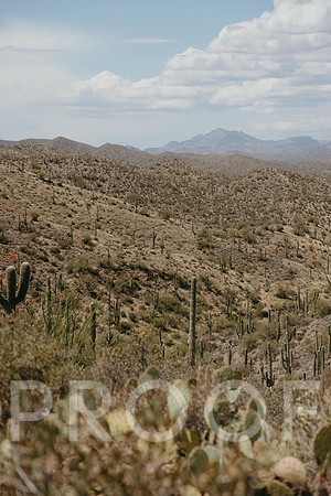 SA_AZ25-0245