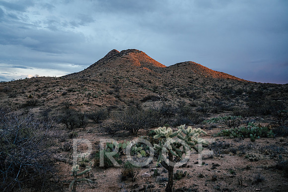 AW_AZ25-8177