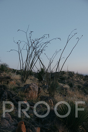SA_AZ25-1191