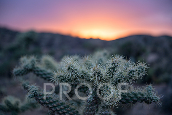 AW_AZ25-8182