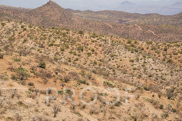JP_AZ25-1521