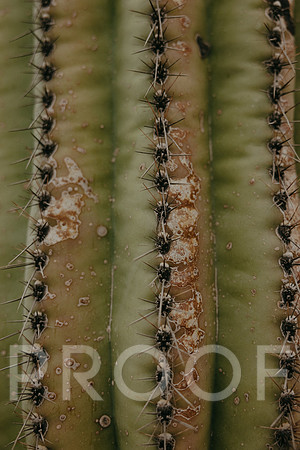 SA_AZ25-0005